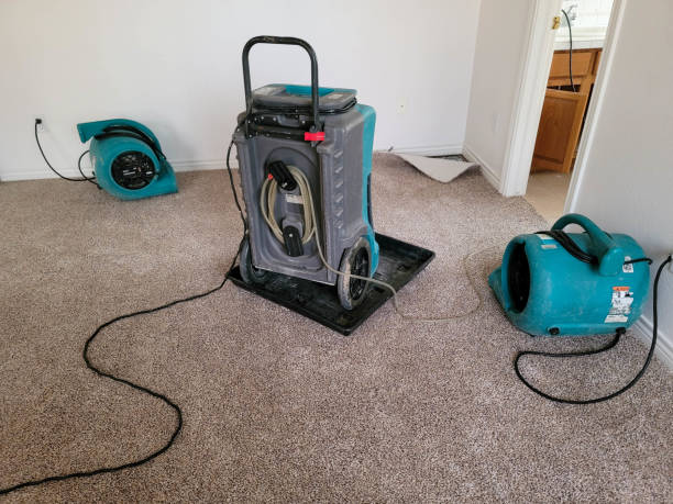 Best Water damage restoration near me  in Benton Heights, MI