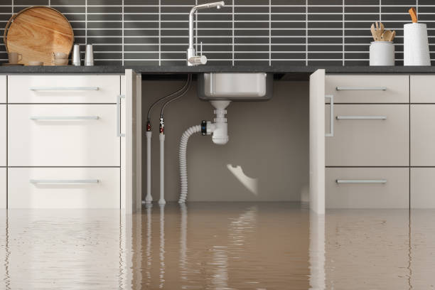 Professional Water damage restoration in MI