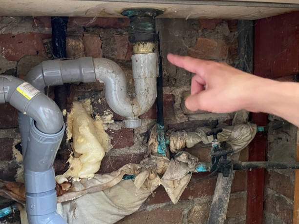 Best Water damage restoration specialists  in Benton Heights, MI