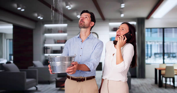 Best Professional water damage repair  in Benton Heights, MI